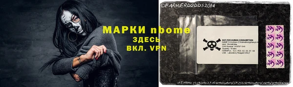 ешки Аркадак