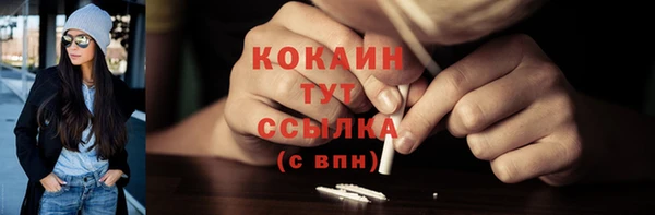 ешки Аркадак