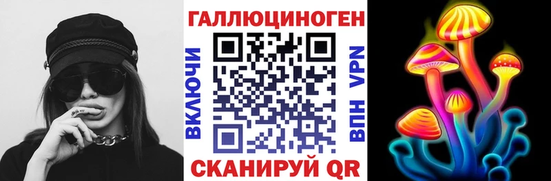 Псилоцибиновые грибы Psilocybine cubensis Пугачёв